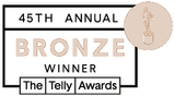 bronze telly award icon
