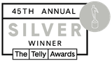 silver telly award icon